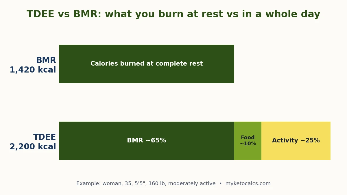 TDEE vs BMR chart: BMR is about 65% of TDEE, plus about 10% for digesting food and 25% for activity